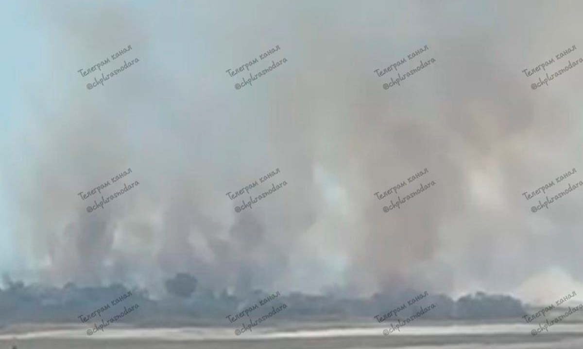    Фото t.me/chpkrasnodara