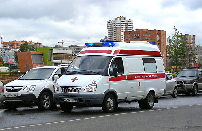    lana1501/Фотобанк Лори