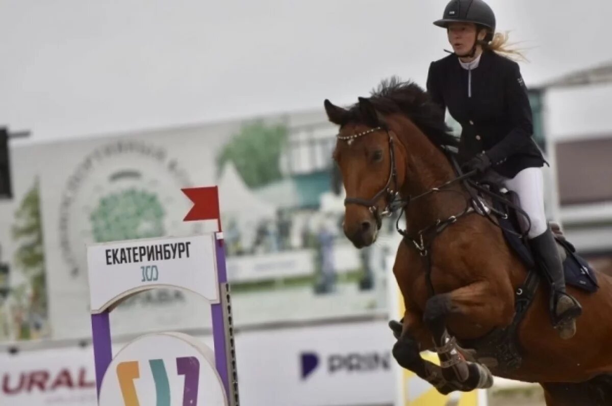    300 лучших всадников России и мира участвуют на Урале в соревнованиях