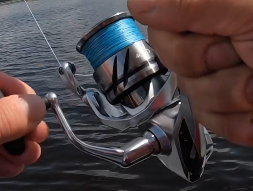 Твичер / Охотник на шерстяных гусениц 