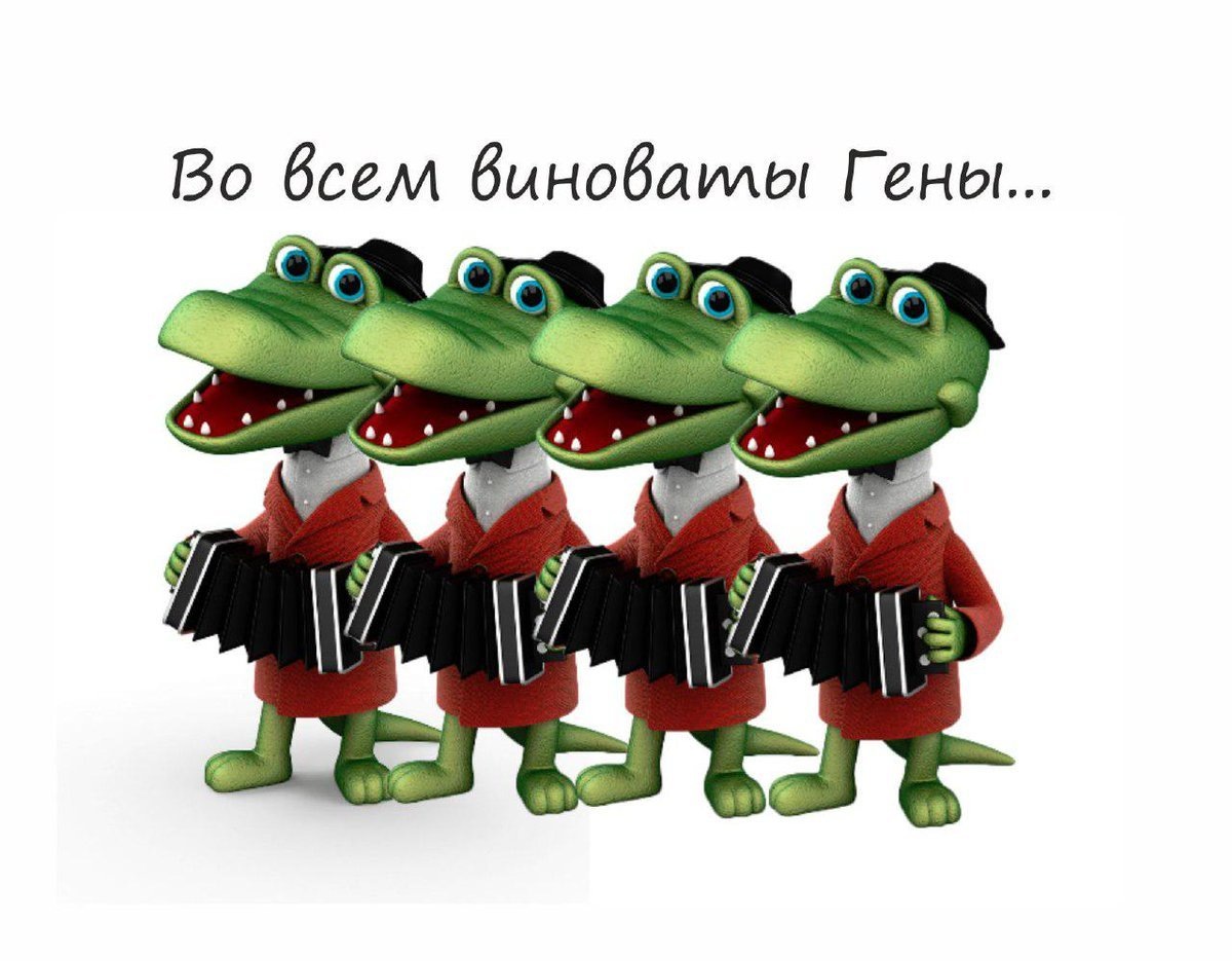 они, они виноваты)