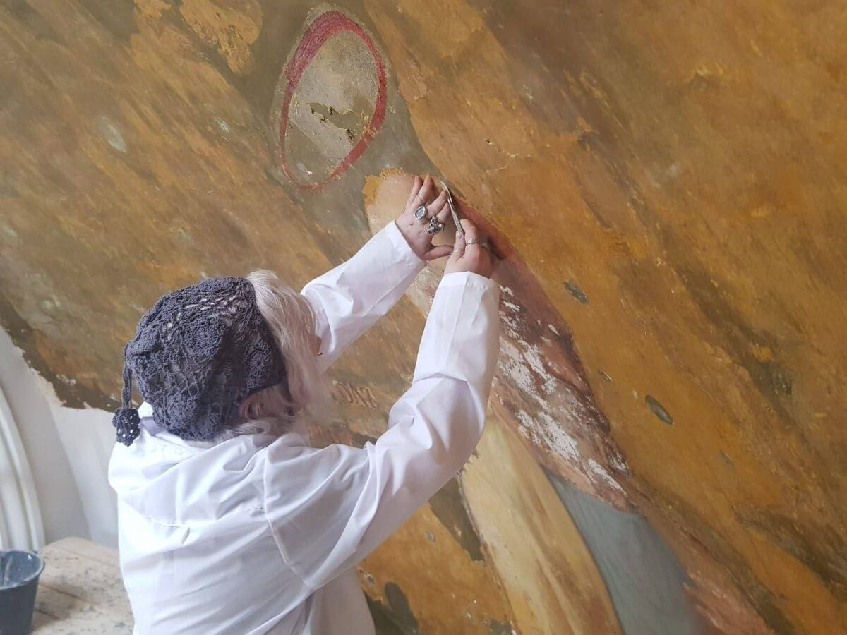 © Telegram/ Админка Ленобласти