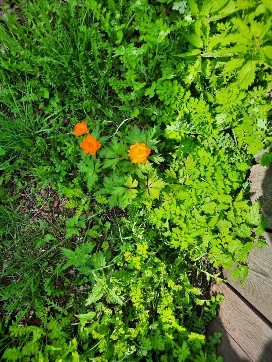 Фото автора.