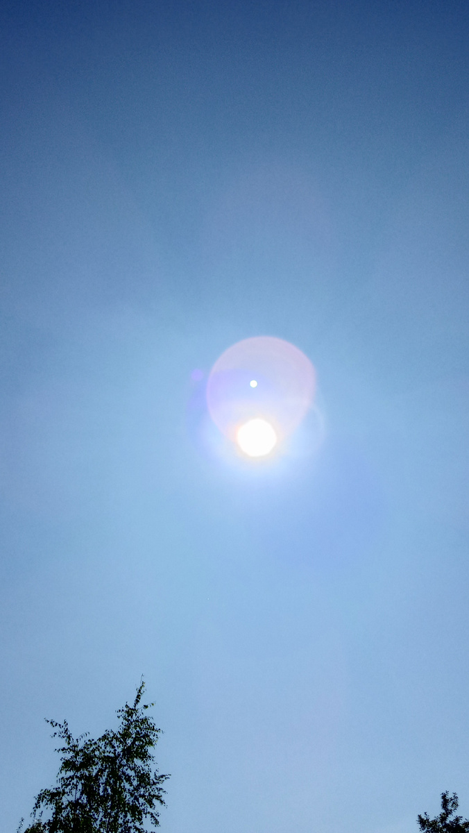 Фото автора.