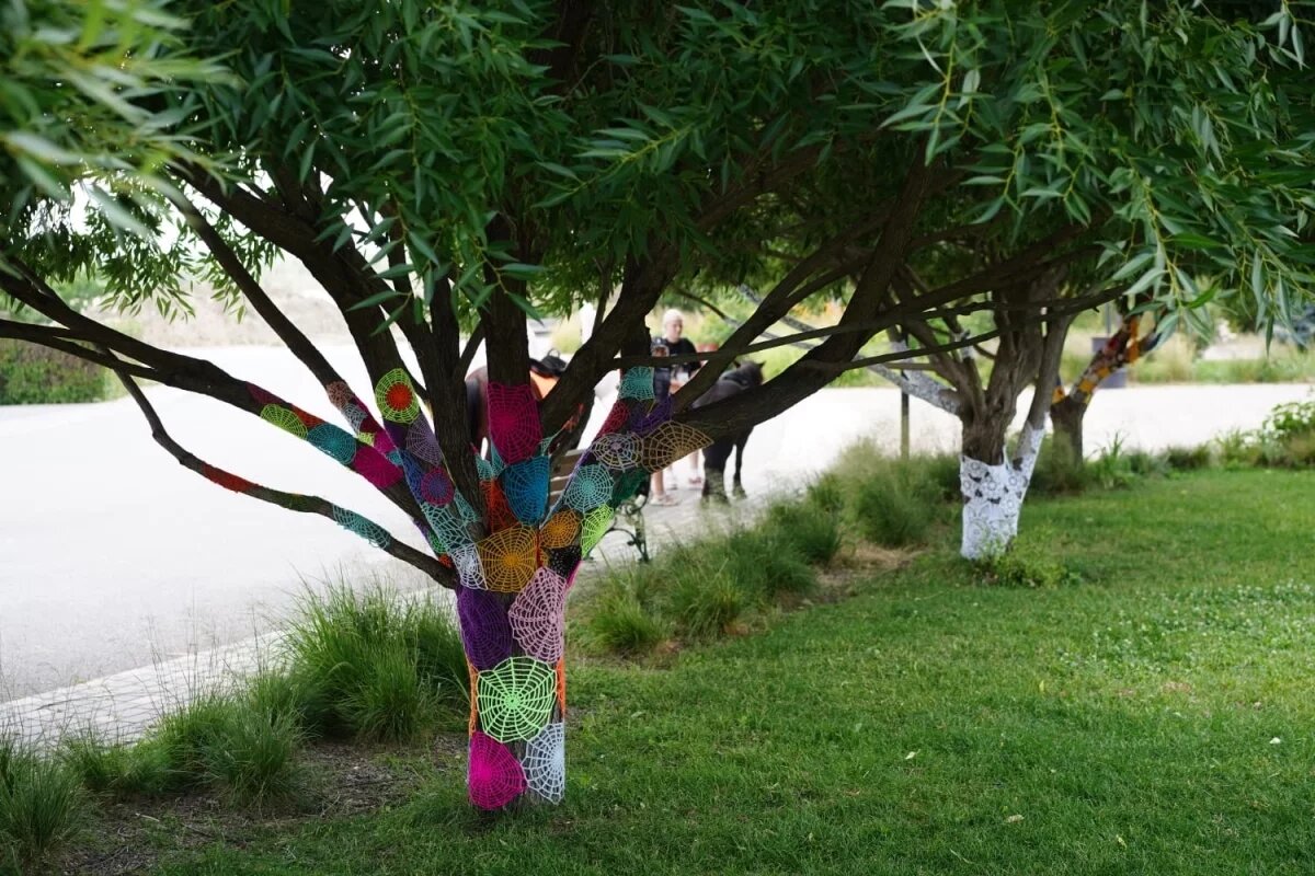    В Волгограде деревья в ЦПКиО получили прививки от короедов