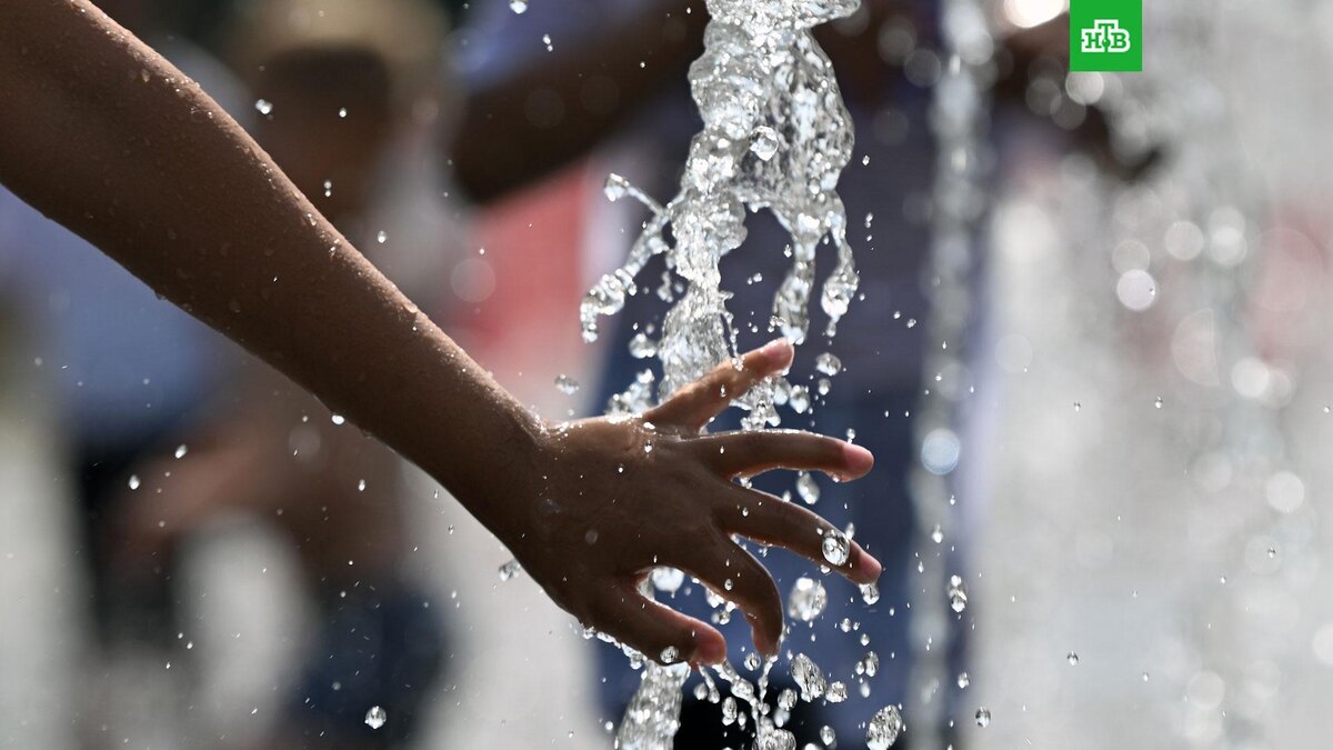    Фото: РИА Новости © 2025, Максим Блинов