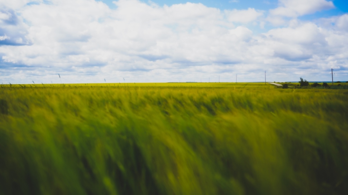 Светлана Мулыкина📷
