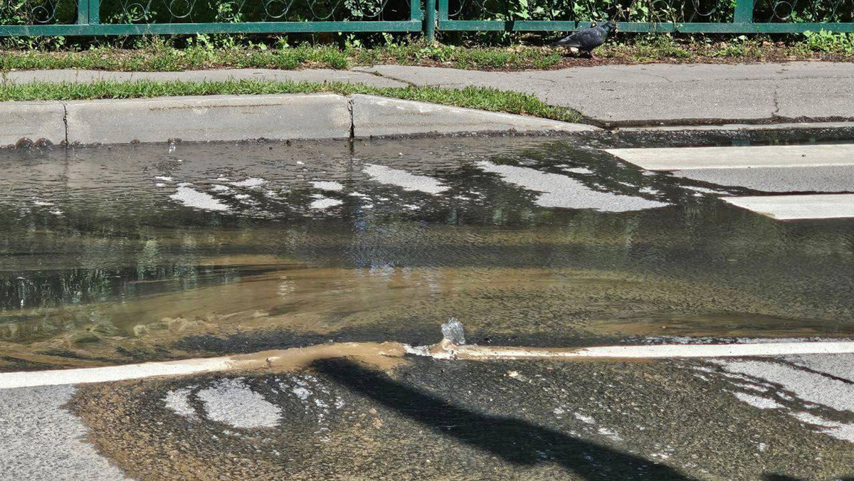   @mk_oblast / Telegram