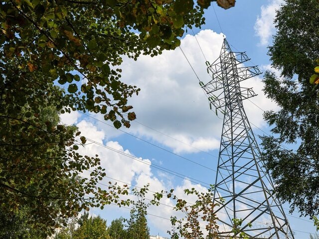    Фото: Агентство "Москва"/Максим Денисов