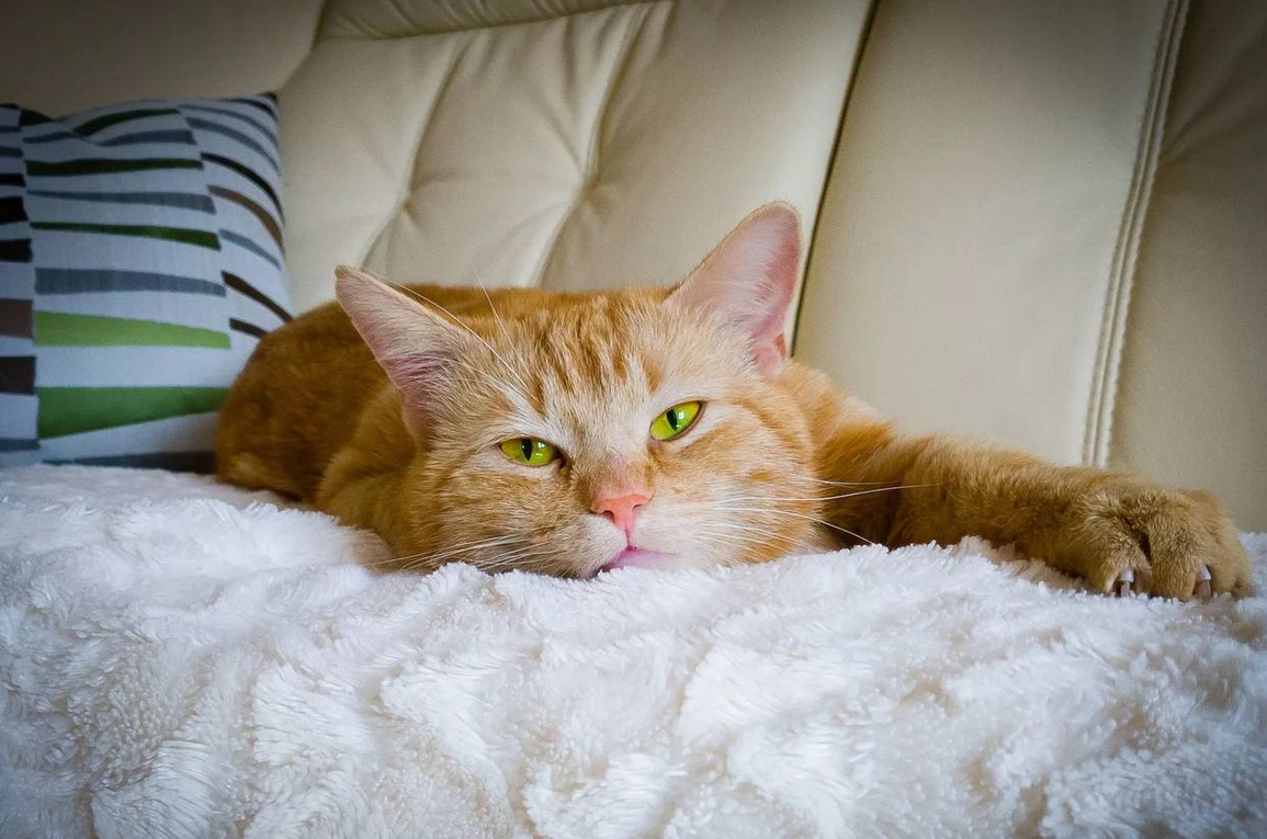 Фото из открытого источника в Яндексе