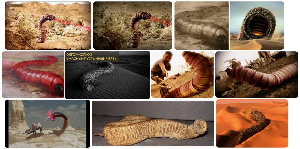Олгой-хорхой - прообраз червей "Дюны"