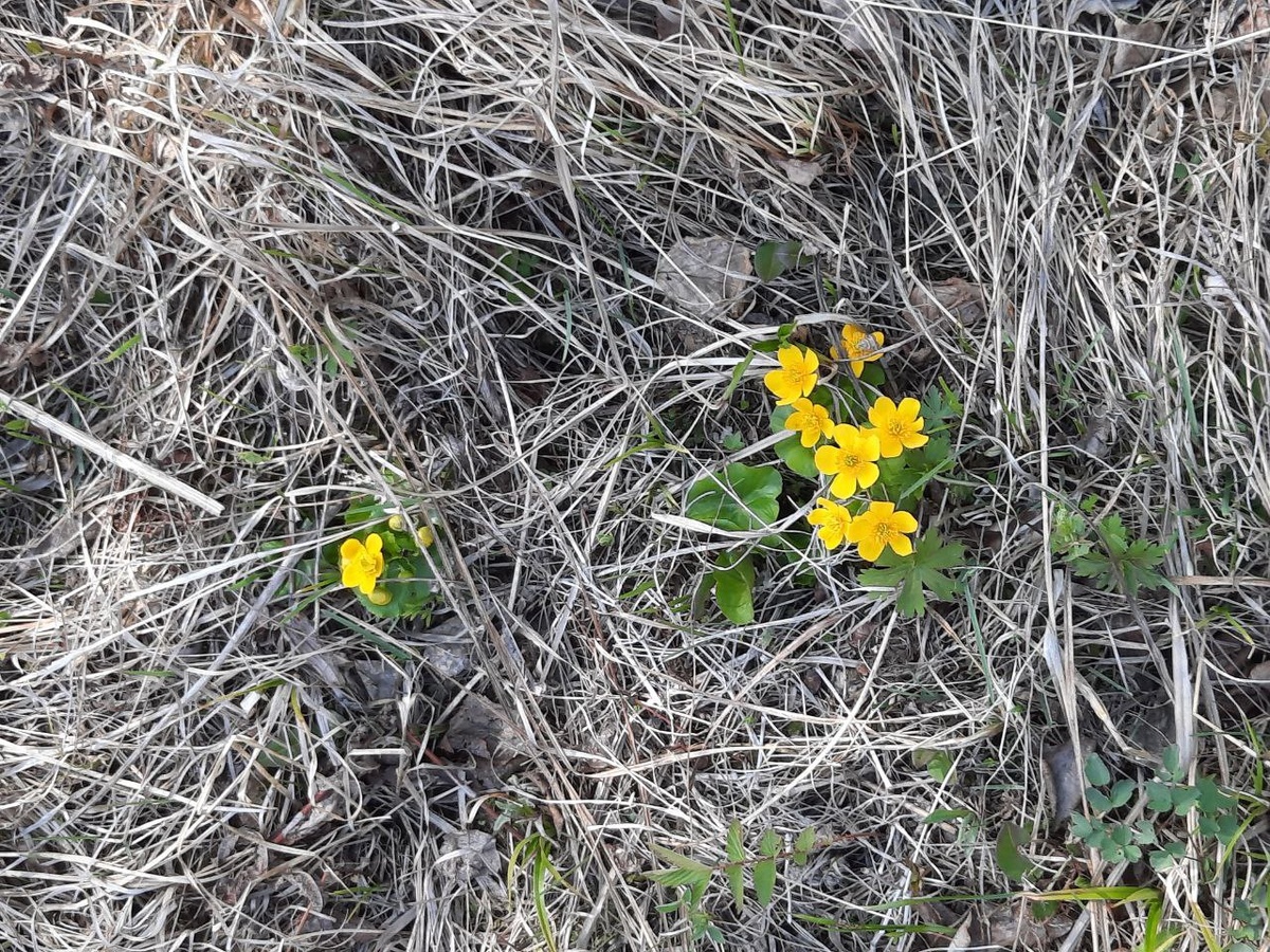 Фото автора.