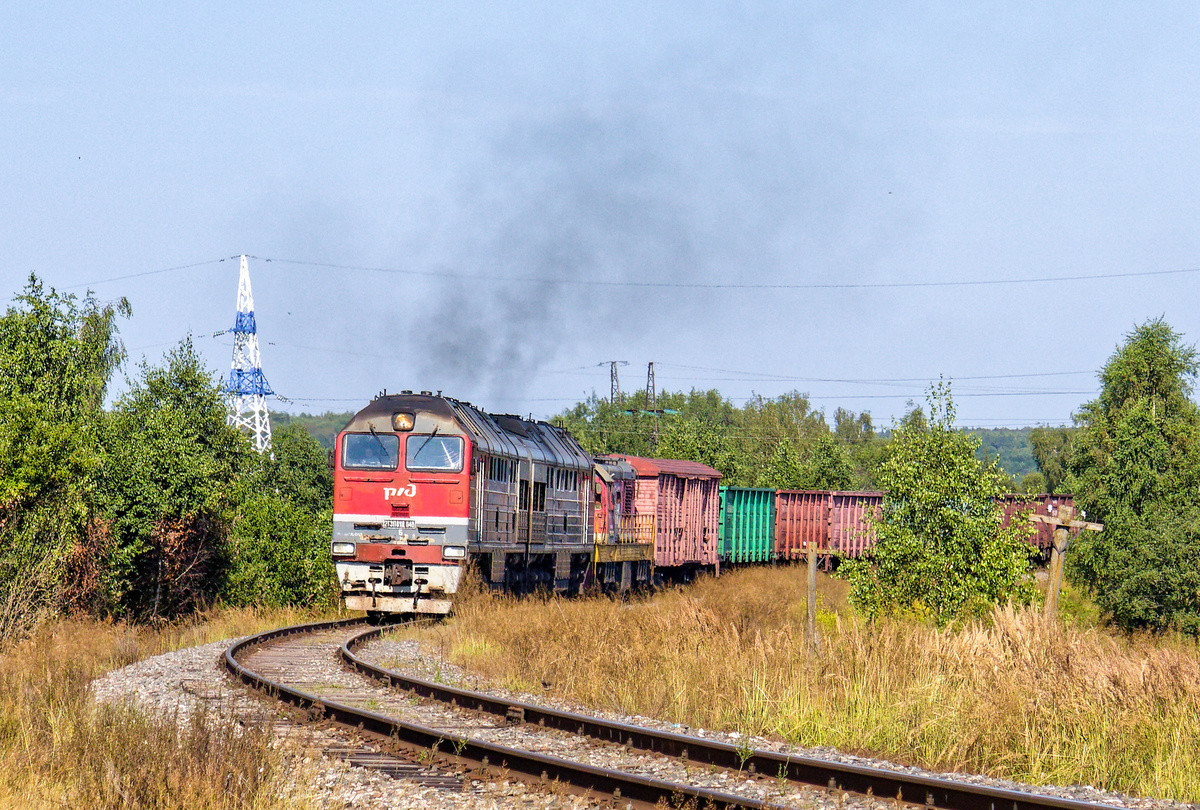 Тепловозы 2ТЭ116УД-048 и ЧМЭ3-1892 с вывозным грузовым поездом. 