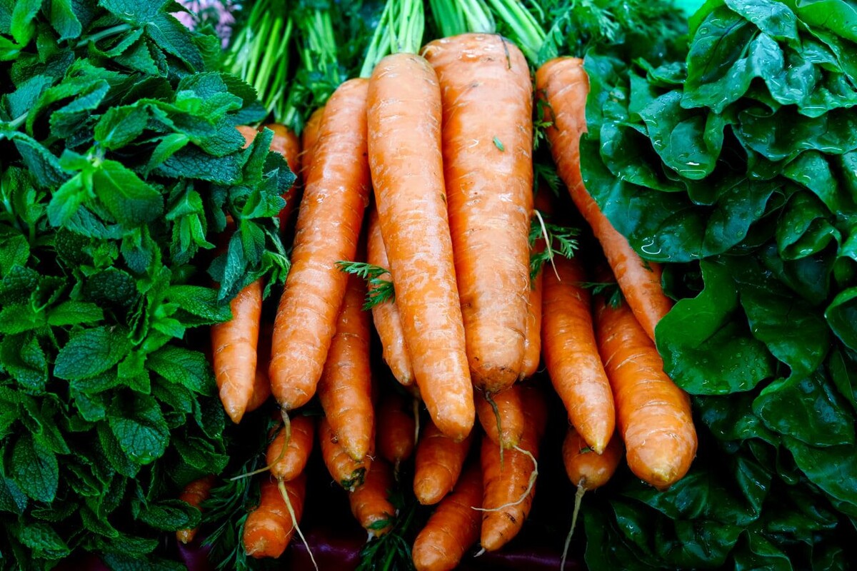     / Источник: © ИЗВЕСТИЯ/Эдуард Корниенко