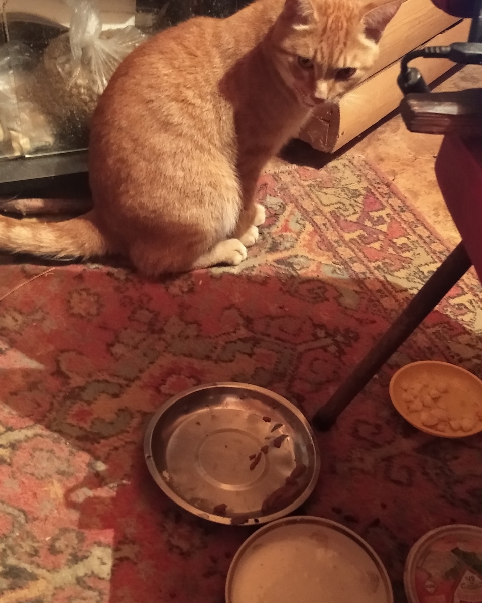 личное фото