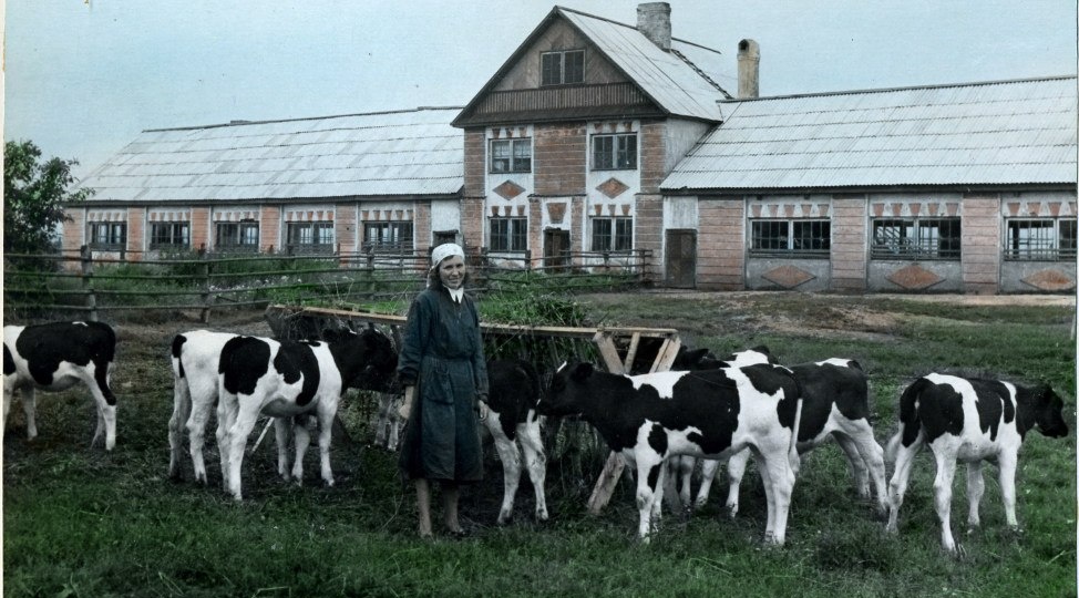 Каким был СССР в 1954 году? 16 фото в первый год при Хрущёве
