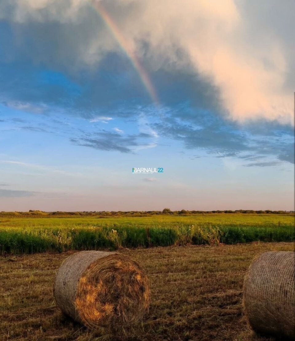    Необычные облака в небе над Алтайским краем. Источник: t.me/brn22official