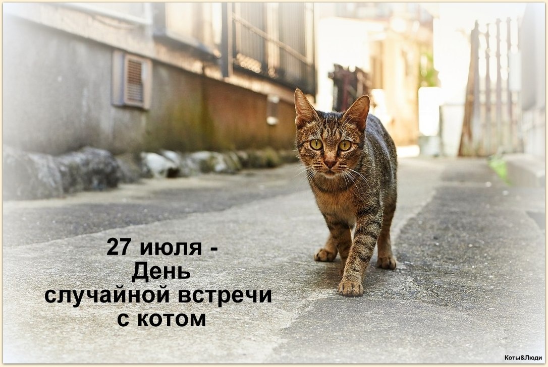 Коллаж автора. Использовано фото: https://fotostrana.ru/public/post/236118/2467283020/