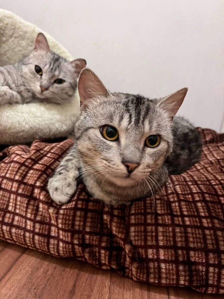 Мама и сын. Почему-то до сих пор не дома