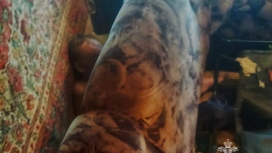    Фото: ГУ МЧС России по РТ