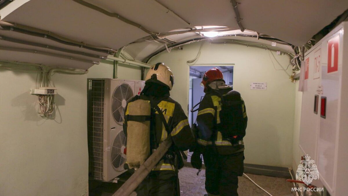    Фото: .me/mchspetersburg