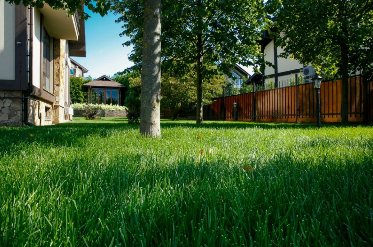 Источник фото: gazony.com