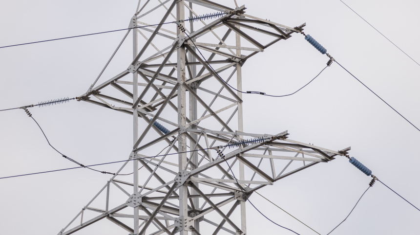    Фото: © РИА Новости/Артем Кулекин