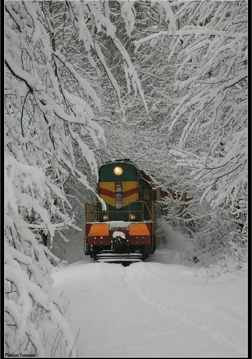 Фото из интернета 