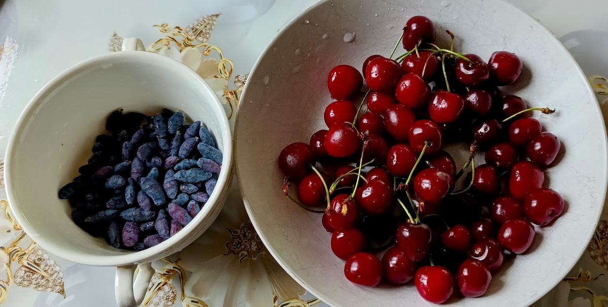 Справа от жимолости черешня, но она у нас в саду не растёт. 