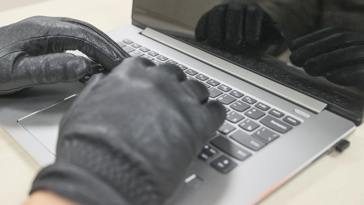 Фото: Bulkin Sergey/news.ru