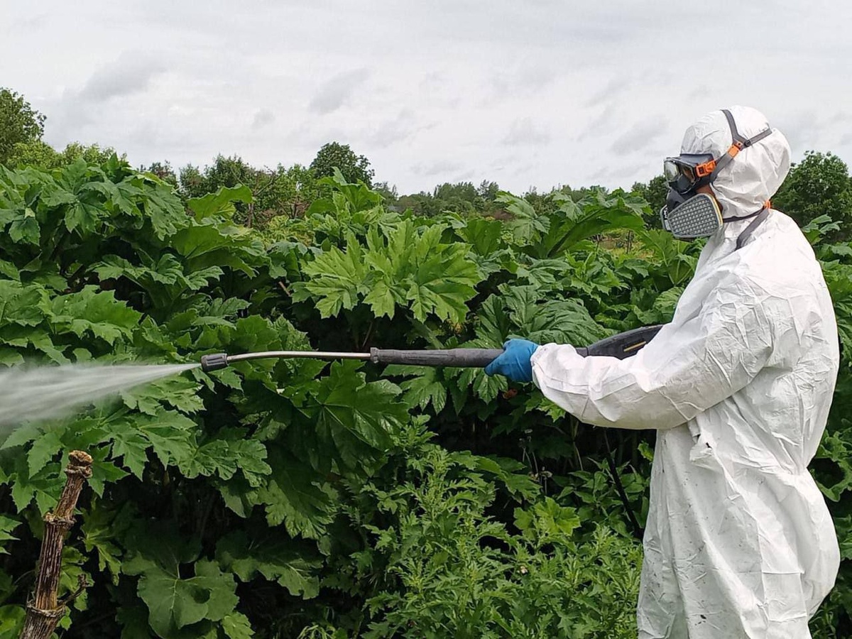 © Telegram/ Админка Ленобласти