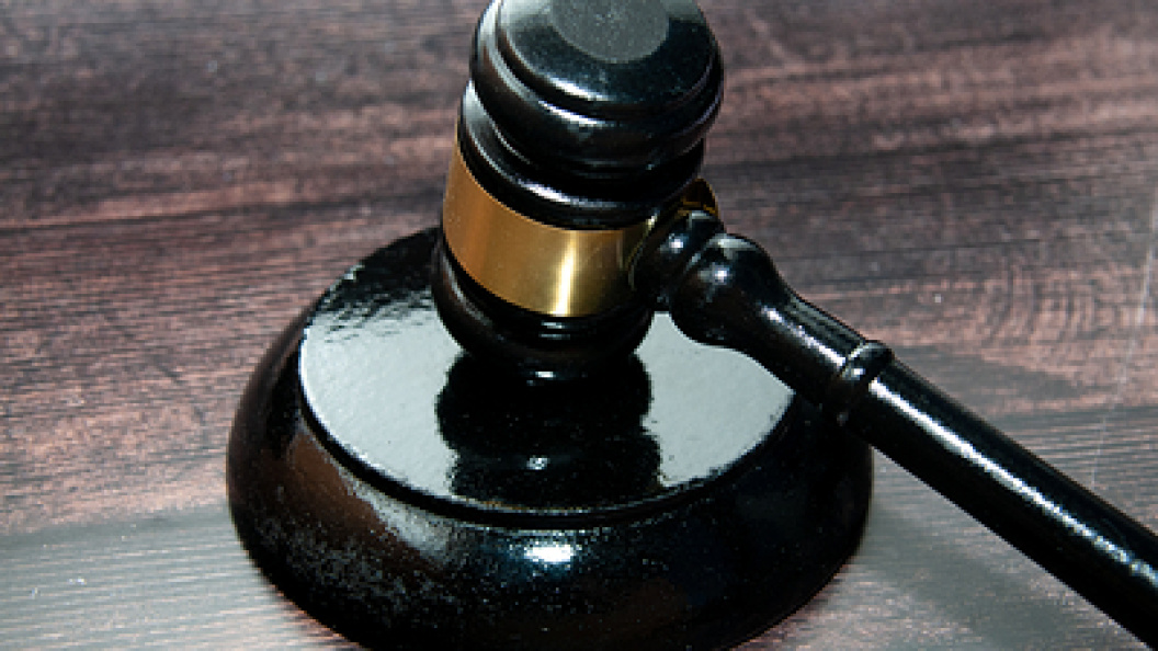    Svetlana Vozmilova/Globallookpress