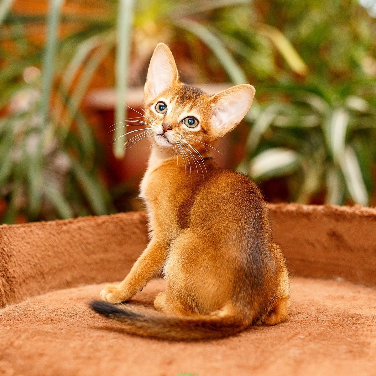 Фото взято с интернета