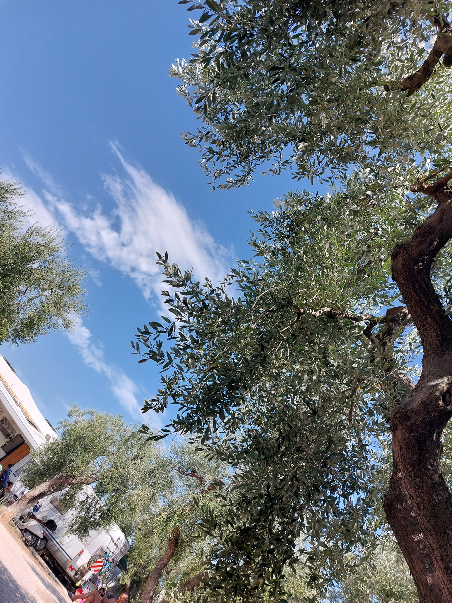 Вы спрашивали об итальянцах, о моей жизни в Италии. Рассказываю