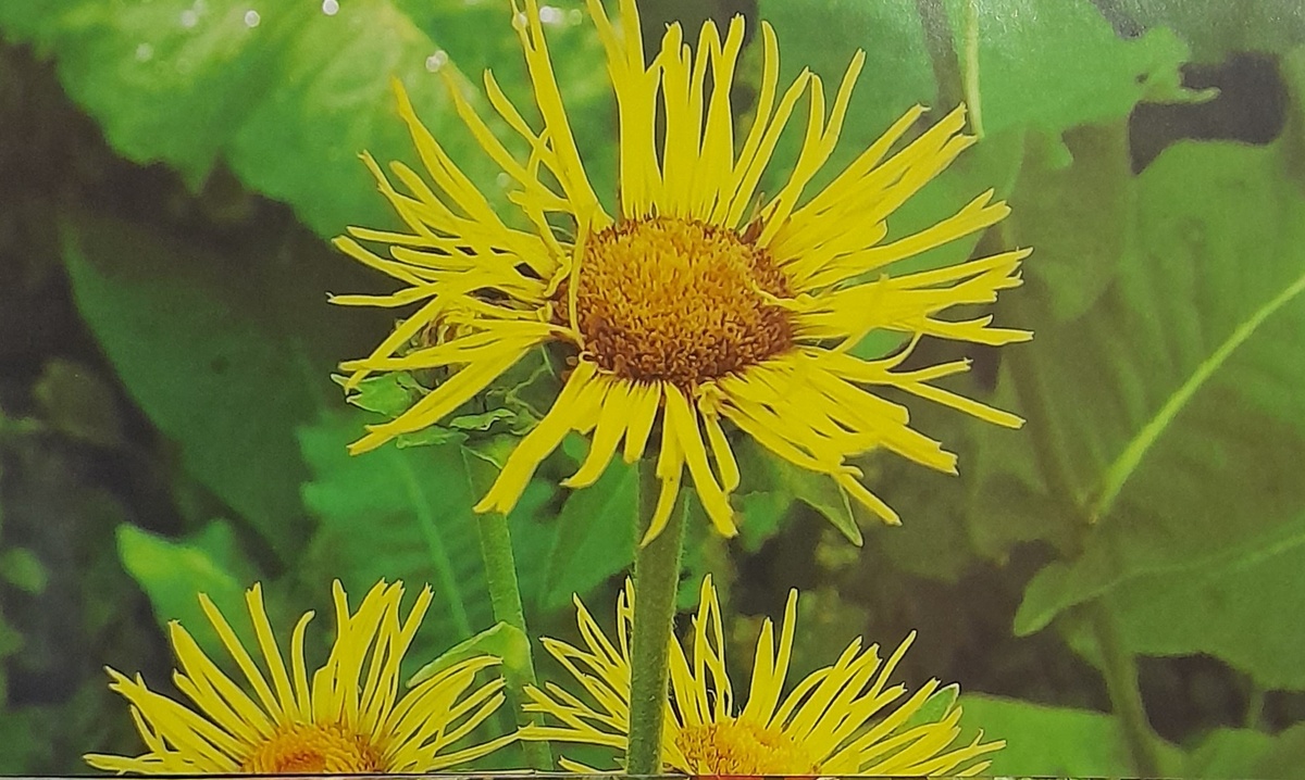 Фото автора канала