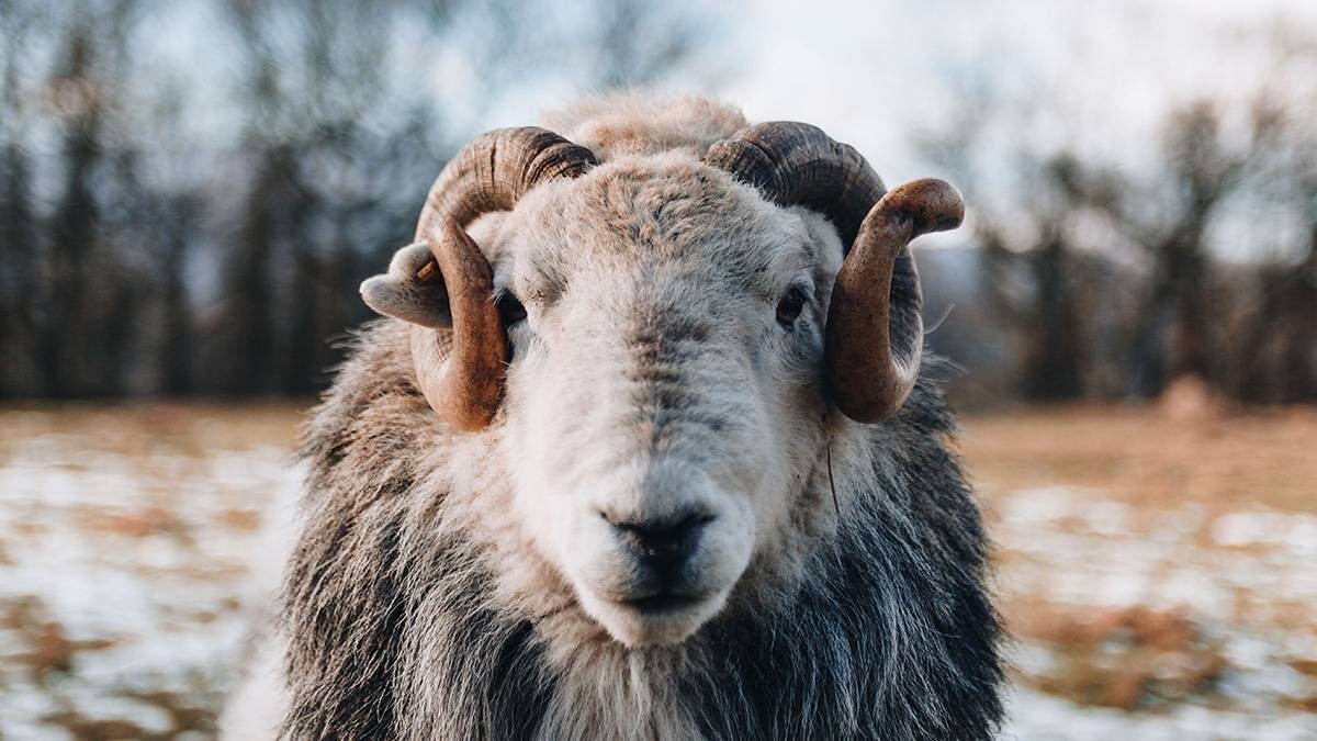    Фото: Unsplash