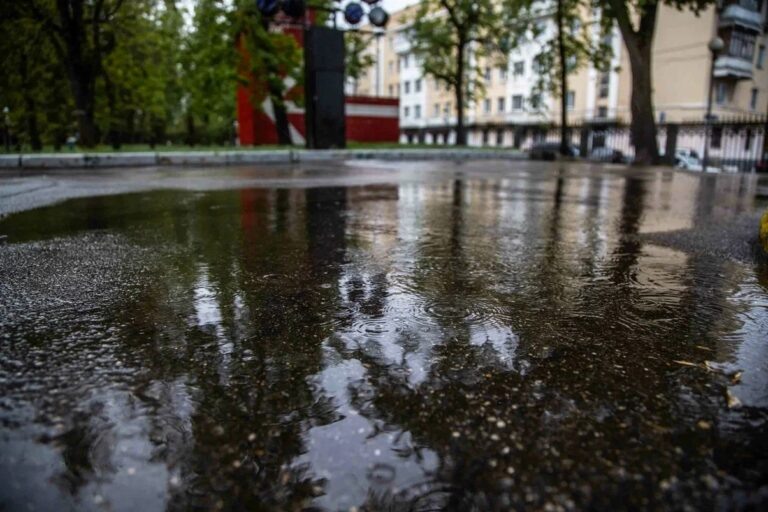    Фото: Общественная Служба Новостей Александра Горохова