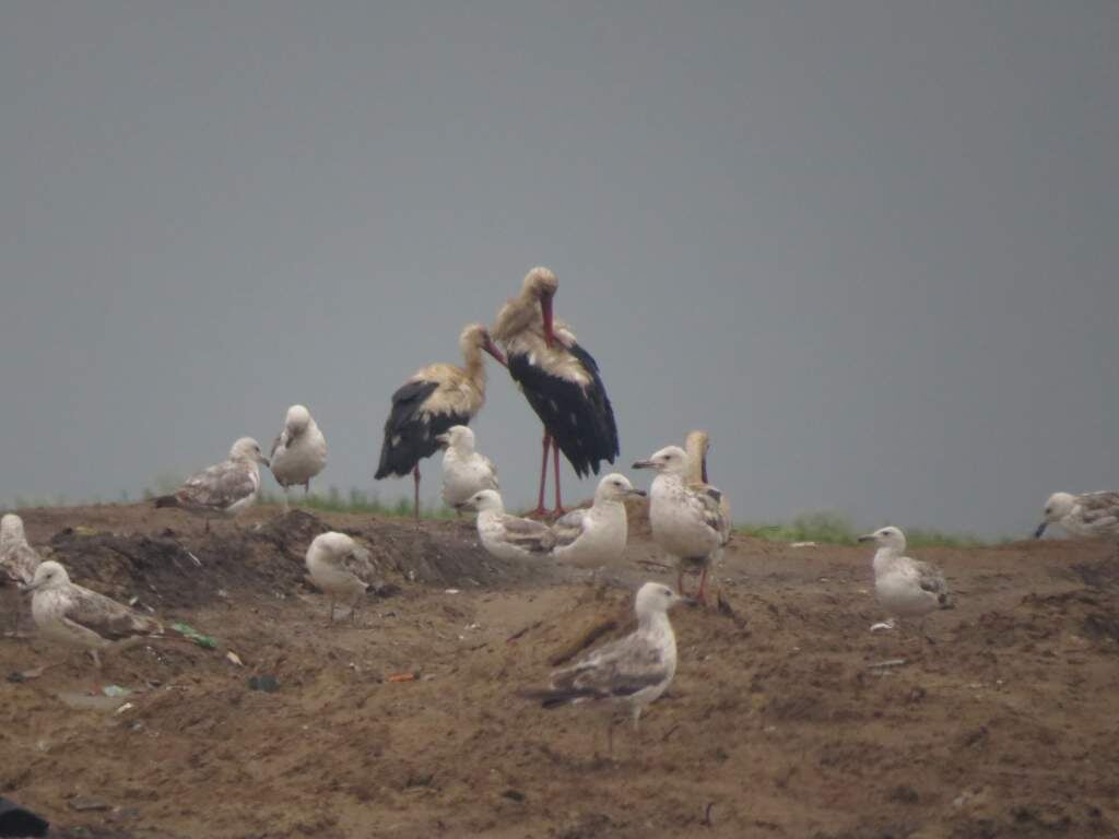    Фото Евгения Скляра