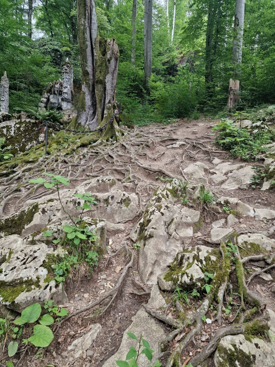 Фотографии из личного архива автора