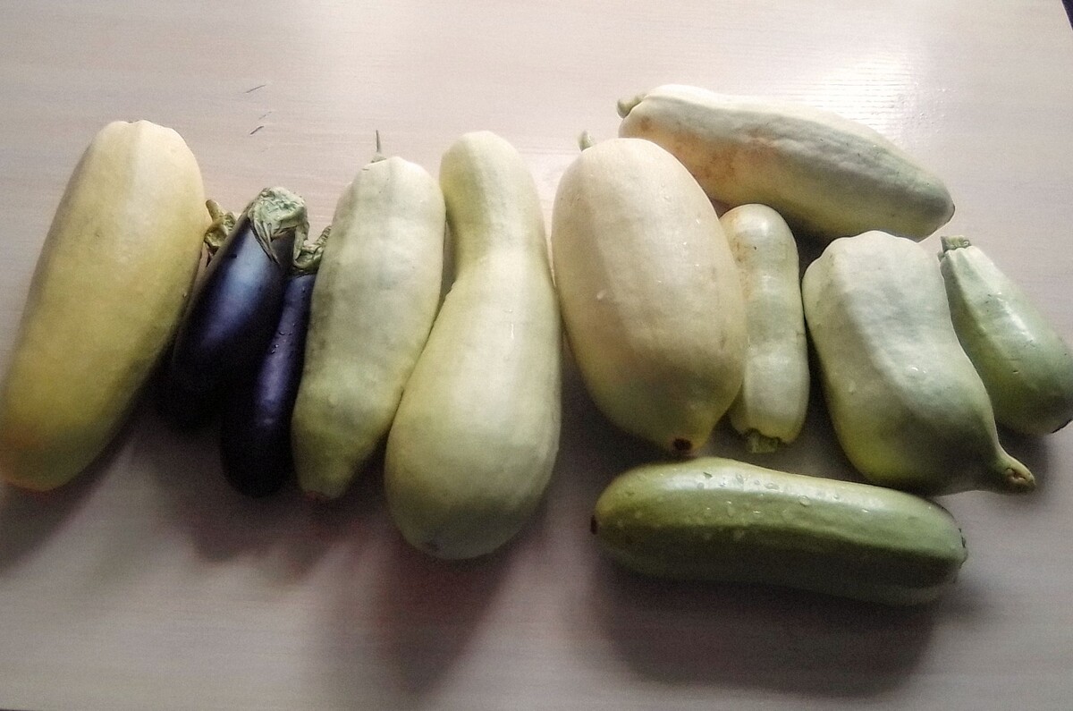 Неказистые, но на вкусе икры внешний вид не скажется.