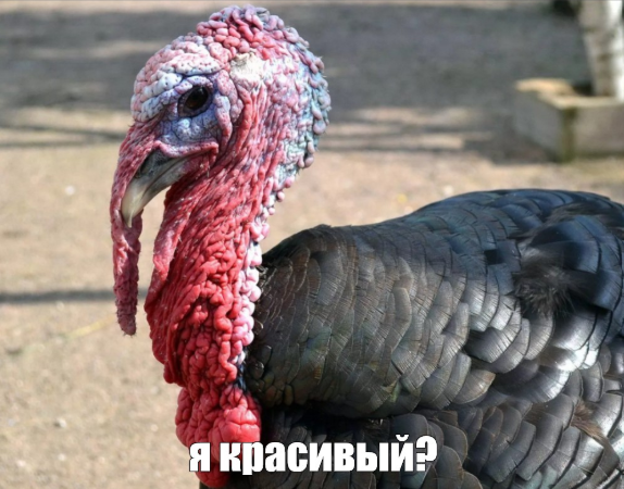 Когда каждый считает себя правым