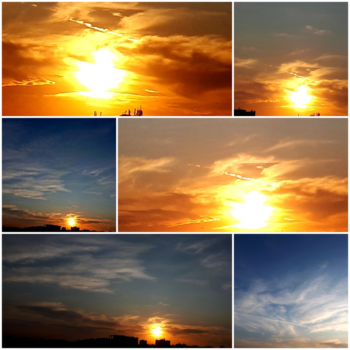 Коллаж автора 26.07.2025г.