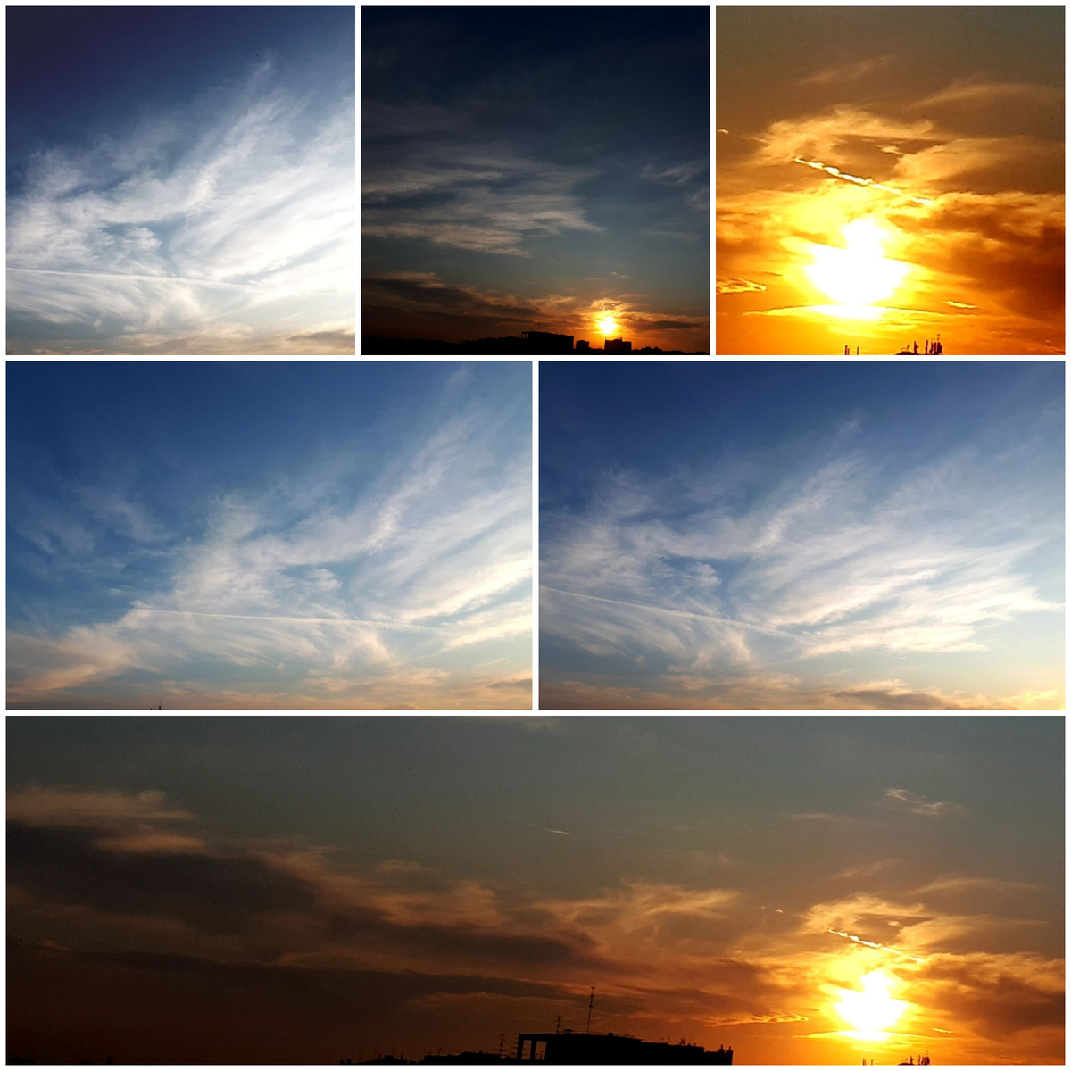 Коллаж 26.07.2025г.