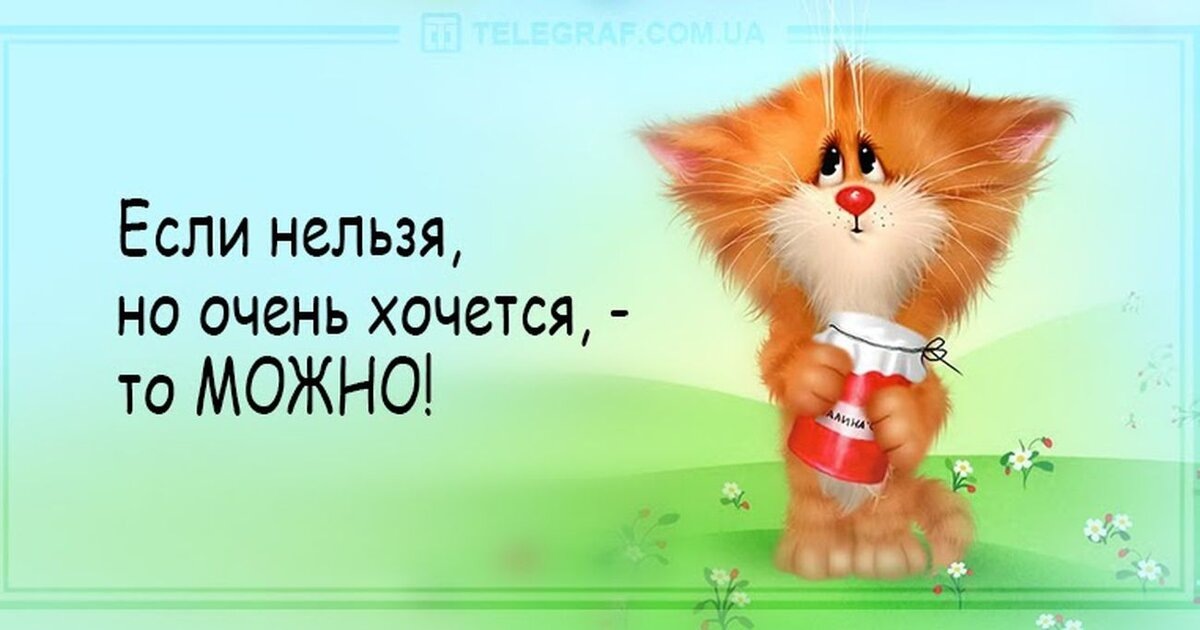 ссылка на источник: imerica.ru