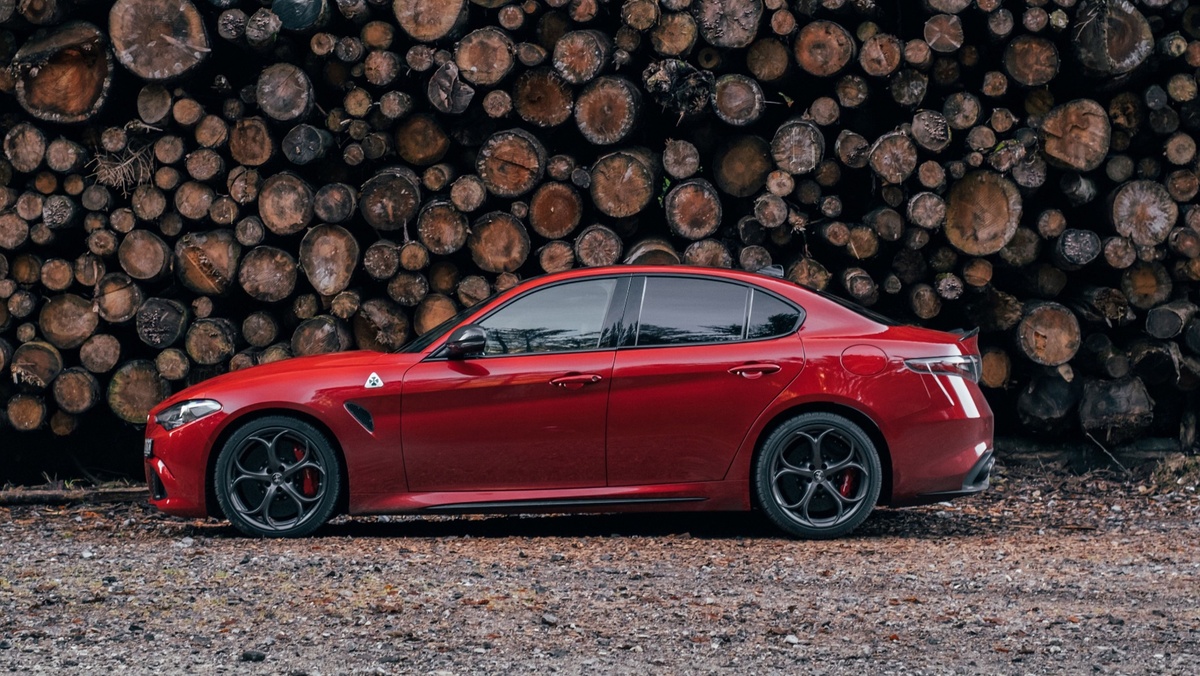 Пропорции по канонам классического дизайна. Идеал. Фото из открытых источников