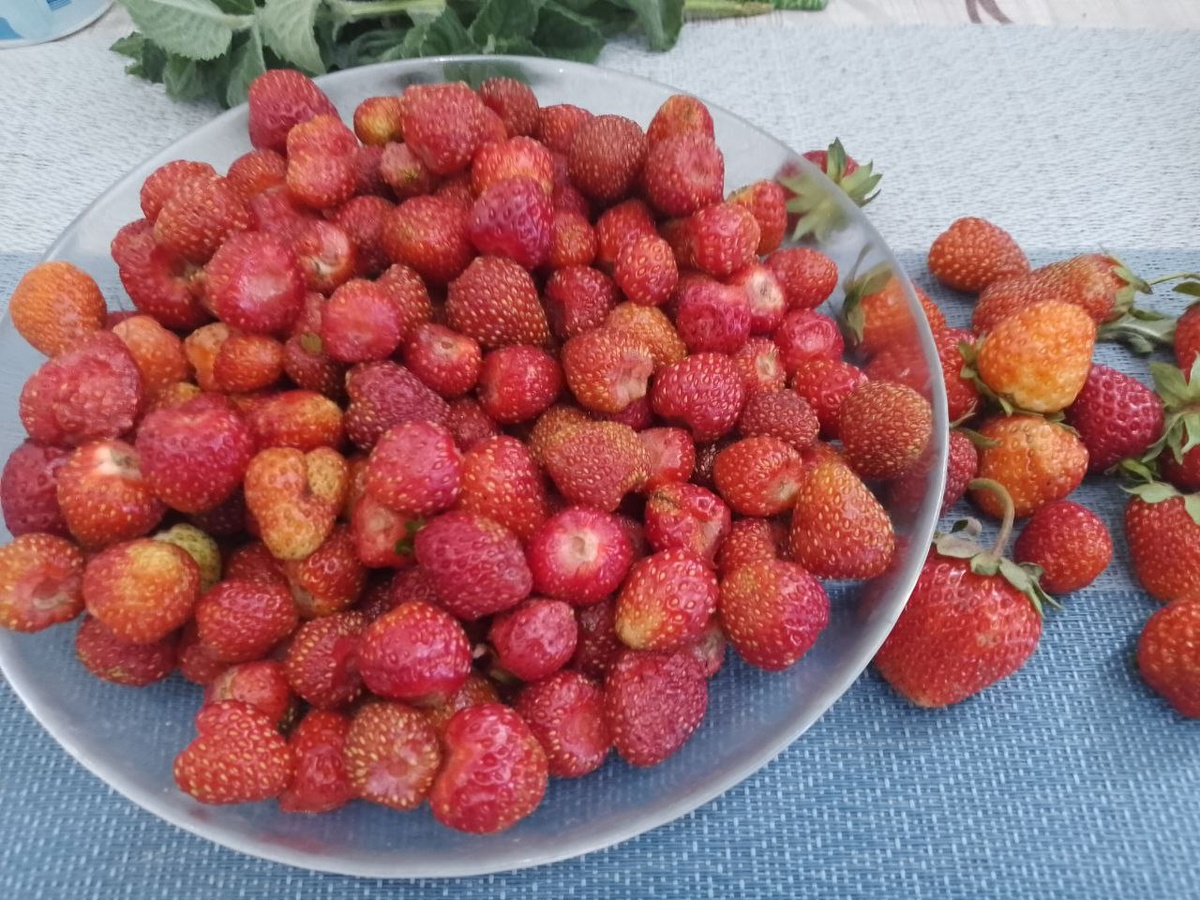 Ягоды клубники