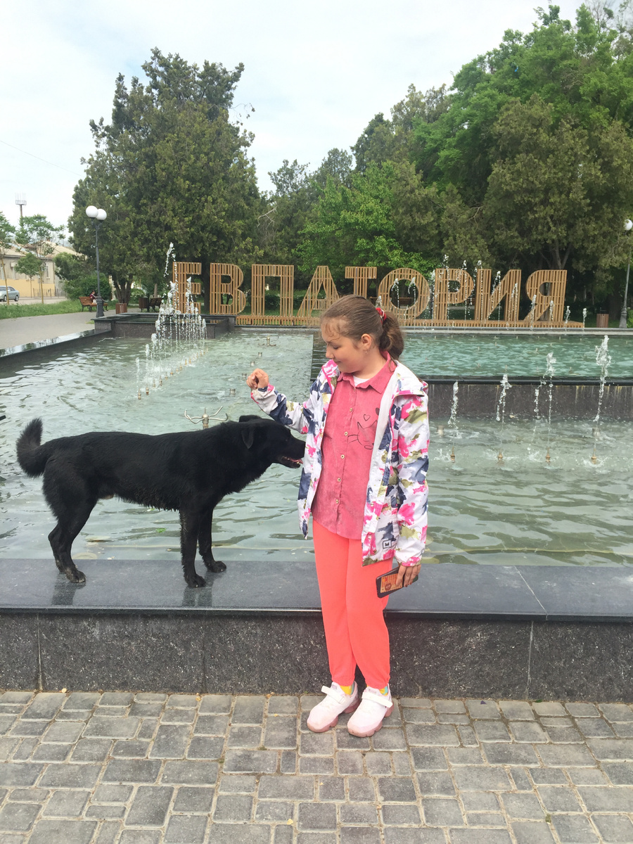 В Евпатории много собак, мы их любим) 