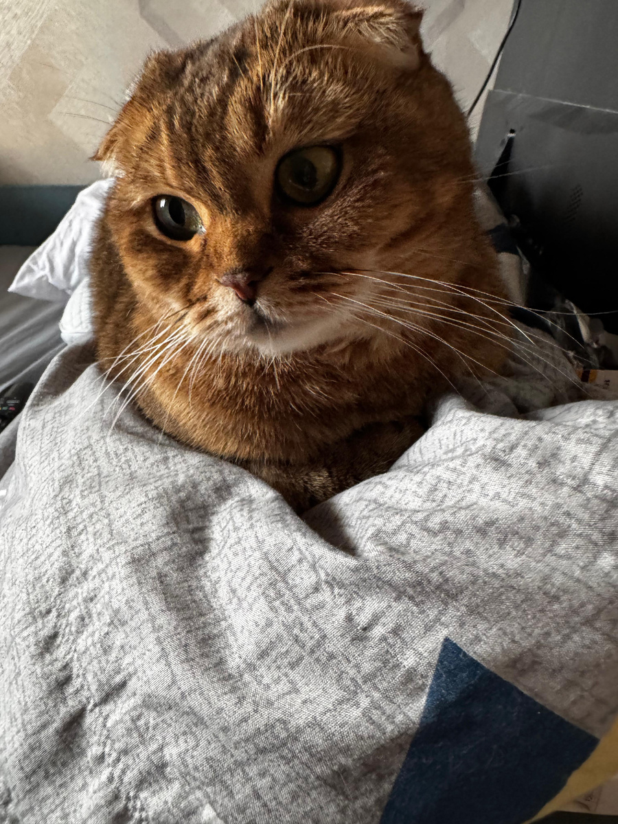 Из личного архива