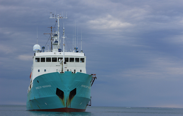 Ирина Скалина/ТАСС