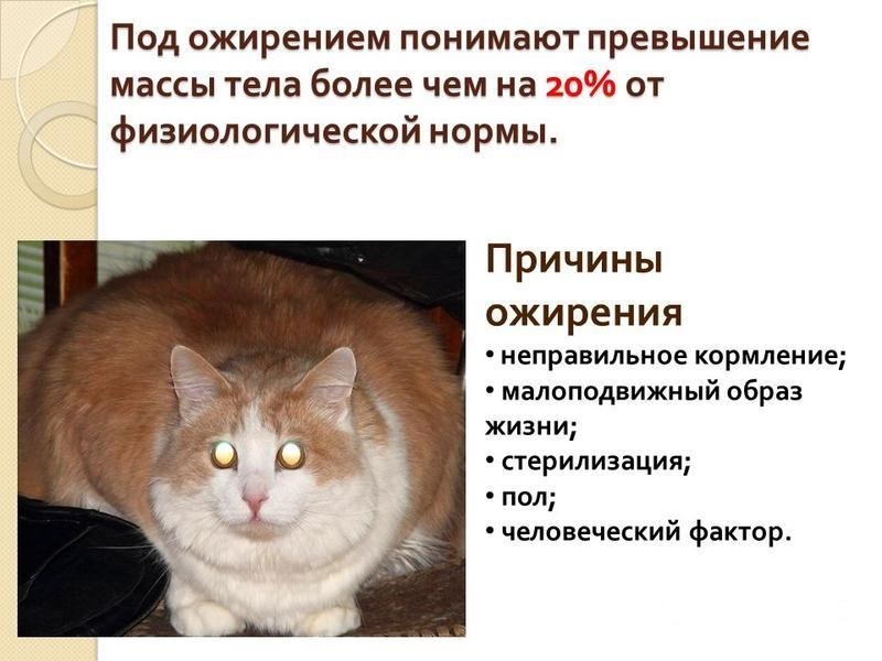 Фото взято с интернета